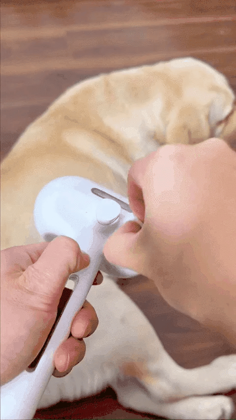FurEase Pet Brush