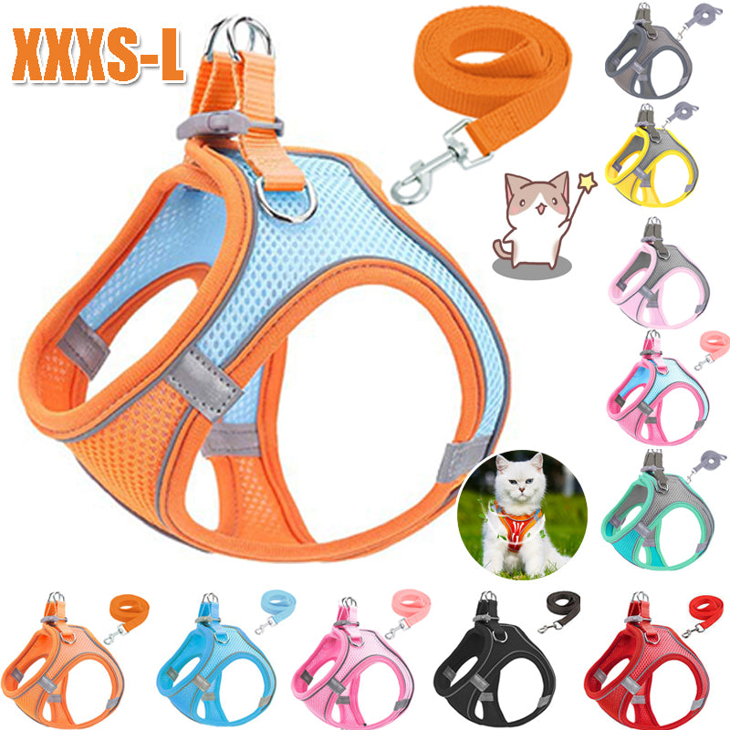 Comfy Cat & Dog Adventure Set