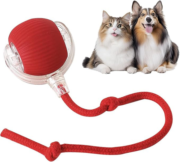 RolliePet Interactive Play Ball