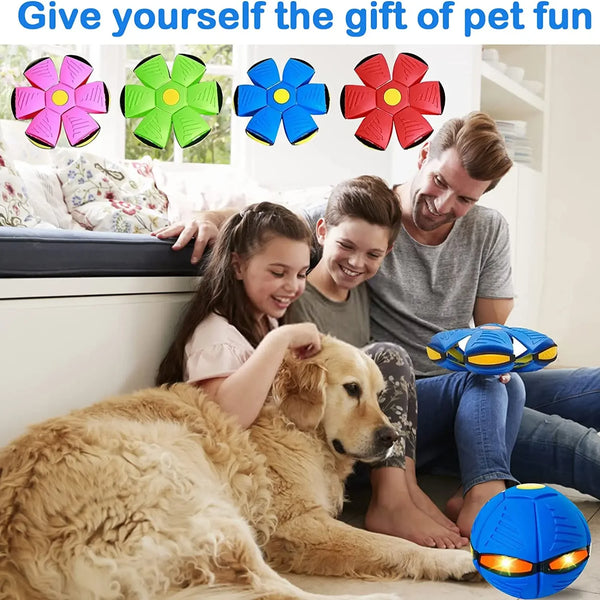 Magic Dog Saucer Ball